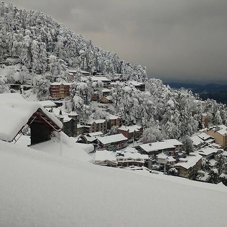Ymca Tourist Hostel Shimla Esterno foto